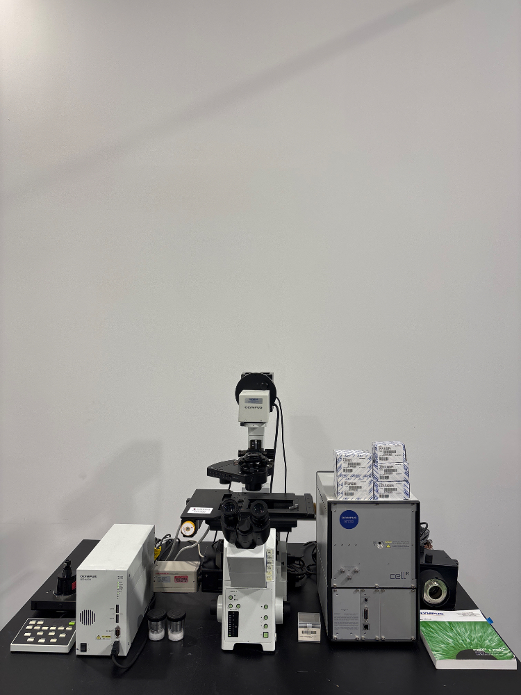 Image of Olympus IX2-ILL100 Microscope